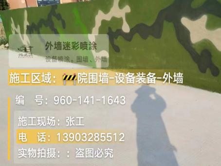 黄冈 迷彩漆喷涂价格（按平方米计费）