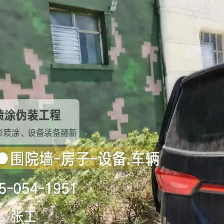 黄冈数码迷彩漆施工